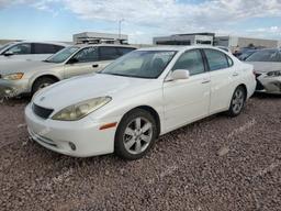 LEXUS ES 330 2006 white  gas JTHBA30G565147123 photo #2