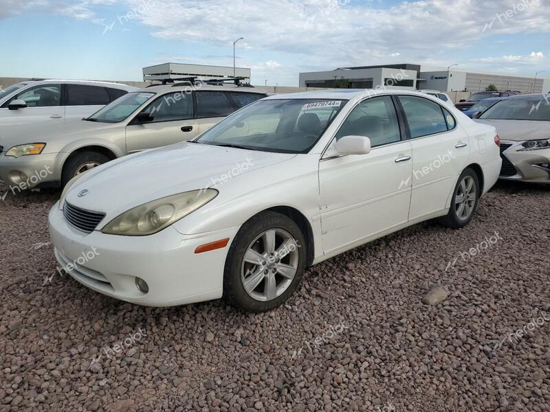 LEXUS ES 330 2006 white  gas JTHBA30G565147123 photo #1