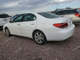 LEXUS ES 330 2006 white  gas JTHBA30G565147123 photo #3