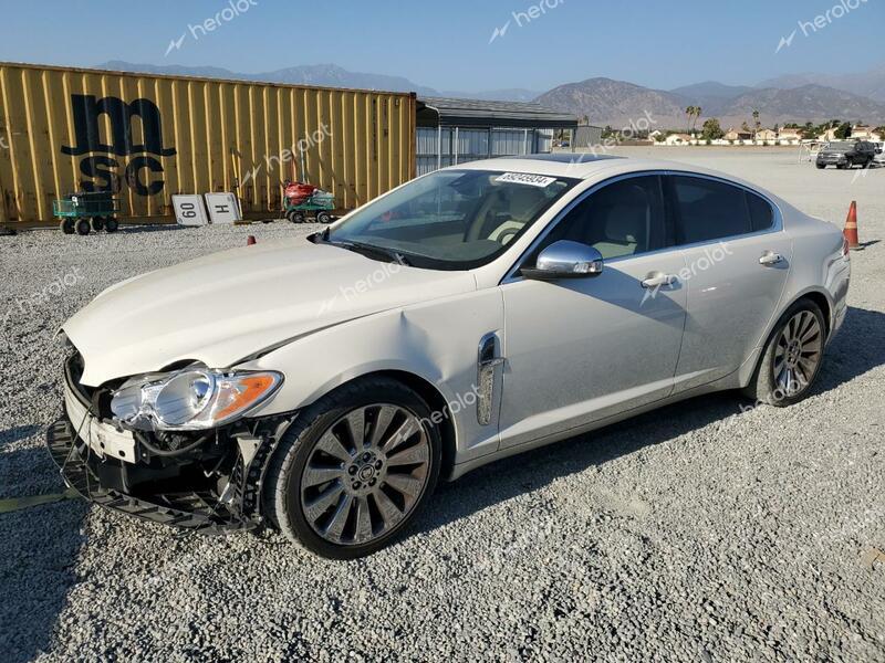 JAGUAR XF PREMIUM 2009 cream  gas SAJWA06B09HR13504 photo #1