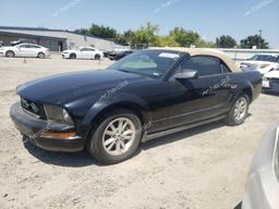 FORD MUSTANG 2005 black  gas 1ZVFT84N455214387 photo #2