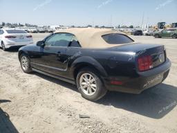 FORD MUSTANG 2005 black  gas 1ZVFT84N455214387 photo #3