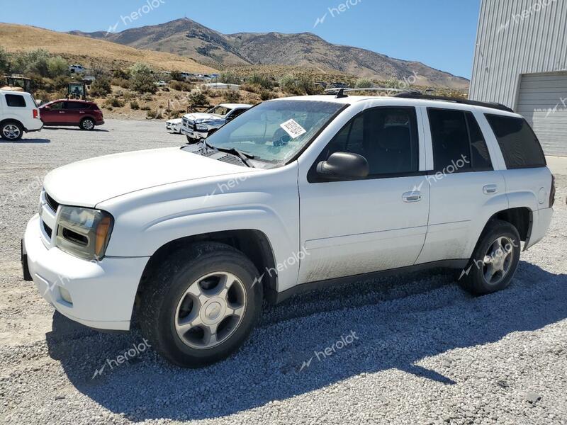 CHEVROLET TRAILBLAZE 2008 white 4dr spor gas 1GNDT13S482214606 photo #1