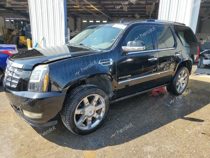 CADILLAC ESCALADE P 2011 black  flexible fuel 1GYS3CEF6BR164733 photo #1