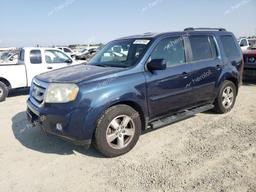 HONDA PILOT EXL 2009 blue 4dr spor gas 5FNYF48619B055055 photo #2