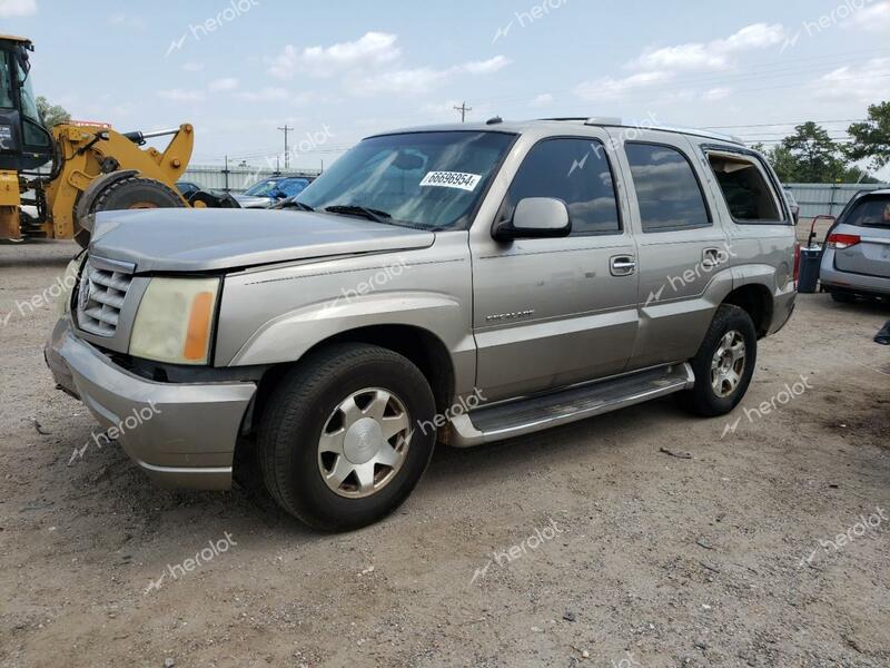 CADILLAC ESCALADE L 2003 beige  gas 1GYEK63N13R101309 photo #1