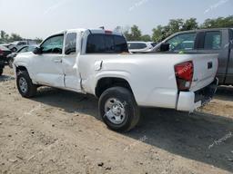 TOYOTA TACOMA ACC 2023 white  gas 3TYSX5EN2PT018484 photo #3