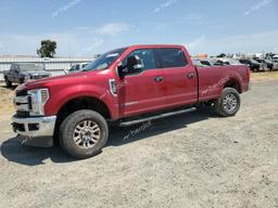 FORD F350 SUPER 2019 red  diesel 1FT8W3BT2KEC33104 photo #2