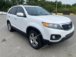 KIA SORENTO EX 2013 white 4dr spor gas 5XYKU4A69DG377806 photo #2