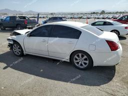 NISSAN MAXIMA SE 2008 white sedan 4d gas 1N4BA41E28C826162 photo #3