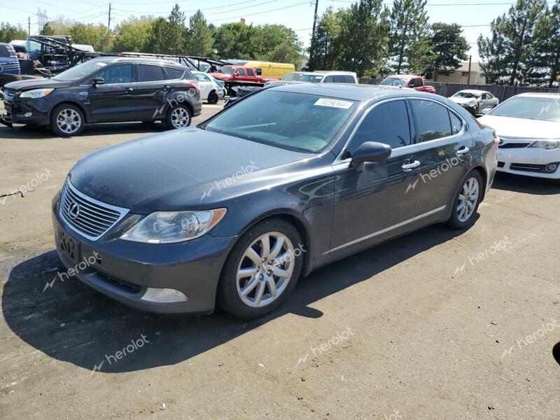 LEXUS LS 460 2009 gray  gas JTHCL46F895002200 photo #1