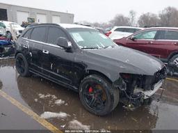 2015 AUDI SQ5 3.0T PREMIUM PLUS Black  Gasoline WA1CGAFP8FA076713 photo #2