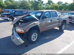 2000 DODGE DAKOTA SLT/SPORT Gold  Gasoline 1B7GG2AN4YS711863 photo #3