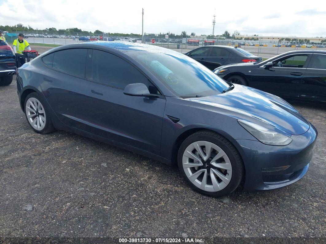 2023 TESLA MODEL 3 REAR-WHEEL DRIVE Gray  Electric 5YJ3E1EA4PF541389 photo #1