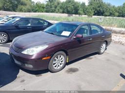 2002 LEXUS ES 300 Gray  Gasoline 3VWD17AJ6EM286338 photo #3