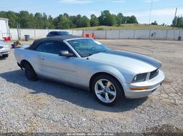 2007 FORD MUSTANG V6 DELUXE/V6 PREMIUM Silver  gas 1ZVFT84N575293944 photo #2