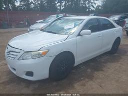 2010 TOYOTA CAMRY White  Gasoline JTNBF3EKXA3001395 photo #3