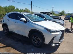 2024 LEXUS NX 350H PREMIUM White  Hybrid JTJGKCEZ8R2024756 photo #2