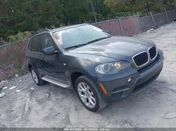 2011 BMW X5 XDRIVE35I/XDRIVE35I PREMIUM/XDRIVE35I SPORT ACTIVITY Gray  Gasoline 5UXCW2C52KL088936 photo #2